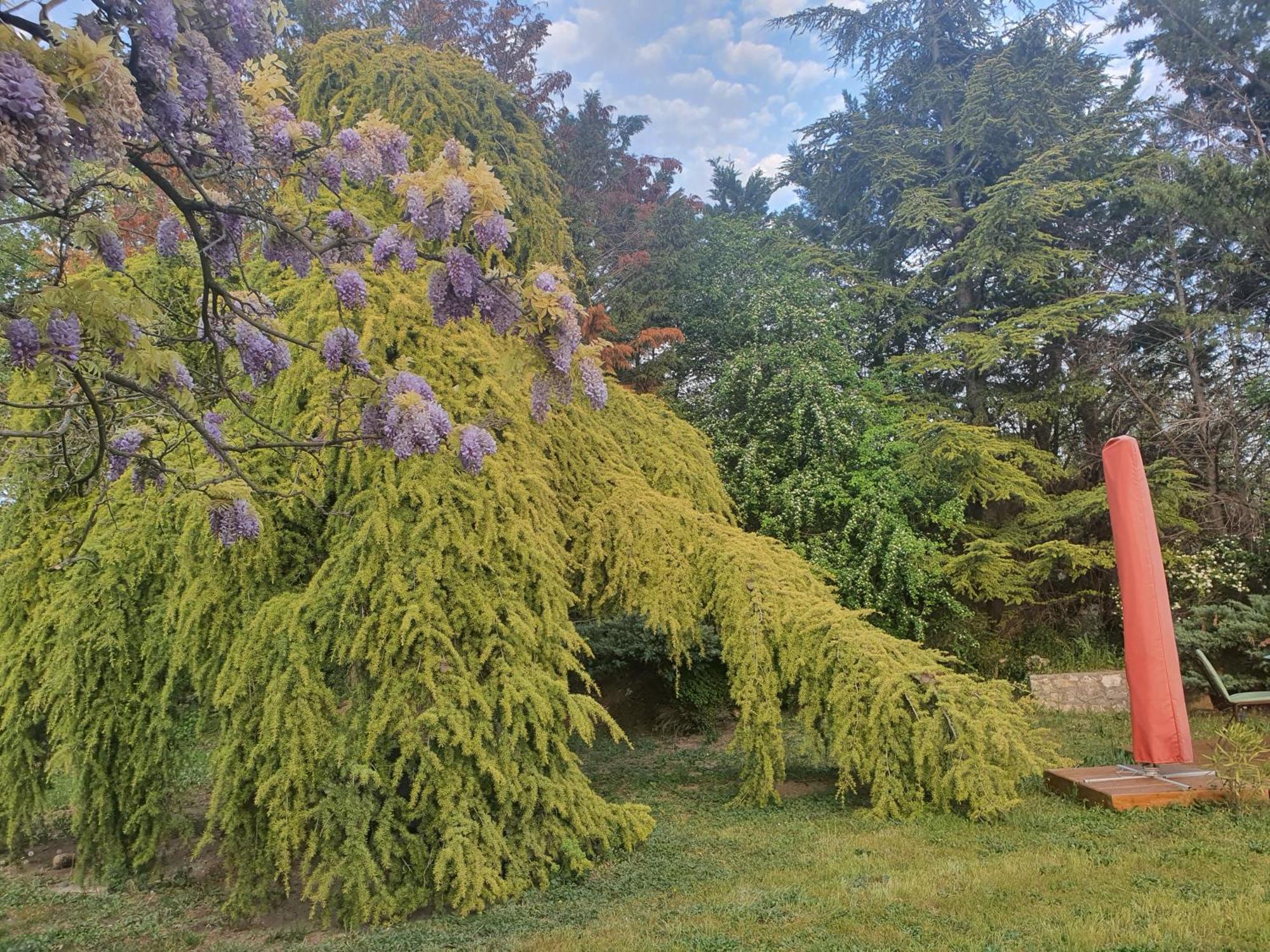 Gite au coeur de la Provence&SPA Saint-Cannat Extérieur photo
